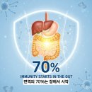 가좌1-04-019 | 장 건강 유산균, 내 장에 맞는 균주는 따로 있다 LGG ·HN019· Bl-04· GTB1 그리고 다니스코 유산균