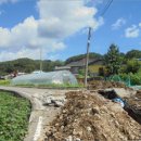 청양군대치면보건지소 이미지