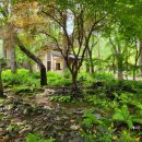 호텔정관루별관(게스트하우스) 이미지