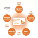 닥터바이 캣엔자임 스위프트 고양이 소화 효소 췌장영양제 후기와 사용법