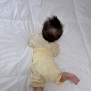 여름 | 말랑하니 여름 실내복 후기