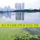 신대호수 | [ 광교 호수공원 ] 비오는 주말_광교 신대호수 산책 》》 광교 가볼만한 곳 》》 스타벅스 광교sk뷰...