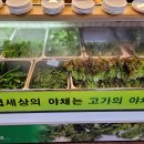초록대패 이미지