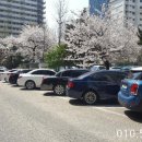 용산-현장-303 이미지