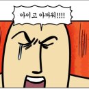 속초 오징어 어시장 이미지