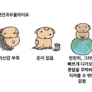 반딧불계란