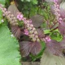 차를 좋아하는 사람들 이미지