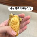 카페붕