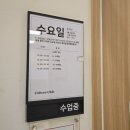 도레미 | 돌 아기 문센 ㅣ 아이 맞춤 음악놀이 도레미 팡팡 격주 수업 수강후기