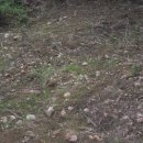 자라농장 이미지