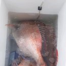 오동골1 이미지