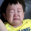 아비오헤어 네이버블로그