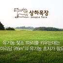 상하하늘목장 이미지