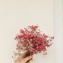 참사랑서점