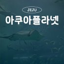 마이바당 | 제주 아이와 실내 가볼만한곳 아쿠아플라넷 할인