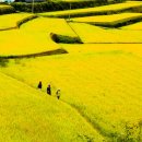 산내면 상황마을 이미지