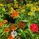 사려니 팬션 이미지