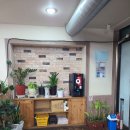 풍년삼겹살 | 수원맛집, 장안동맛집, 수원삼겹살맛집 <풍년갈비> 주차/후기