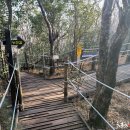 람사르습지길 이미지