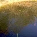 서리농장 이미지