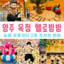지오 디벨로퍼(1,2층) 개방화장실 | 옥정키즈카페 헬로방방 양주점 아이랑 아빠랑 주말 보내기 (농협양주농산물유통센터 2층)