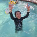 SKY당구클럽 | [미국 괌] 괌 PIC 리조트 액티비티 종류, 예약방법, 펀키즈(FUN KIDS)신청까지 한눈에 보기!
