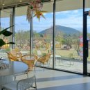 키즈포레스트 이미지