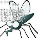 바다에 누워 이미지