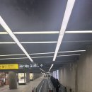 정원 | 순천 정원워케이션 후기 숙소 가격