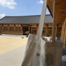힐링 | 전주 여행 연화정도서관 힐링후기