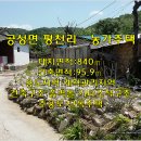 상주부동산