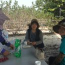 상오농장 이미지