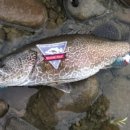 삼탄슈퍼 이미지