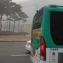 수원-1861 네이버블로그