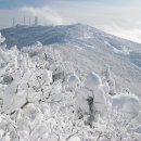 제 744차 1월 7일 강원 태백 함백산 - 아름다운 은빛 설원 이미지