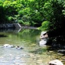 맑은정보공인중개사사무소 이미지