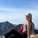 바디코드 이미지