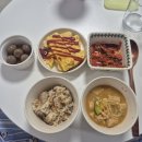 🌸4월 요약 | 더현대 북팝업, 반려식물, 청첩장 모임, 영동횟집, 벚꽃, 서울역 유즈라멘