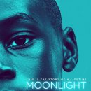 Moonlight 티스토리