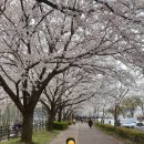 남강둔치(신안동~평거동) 이미지