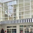 봉산권역 | 동성로 맛집 <포비쌀국수> 양지쌀국수, 팟타이 간단후기