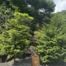 산길별채 | 지리산 산청 글램핑 감성숙소 라이온네이처빌리지 B구역 후기