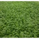 지리산터널펜션 이미지