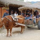 소달구지 - 북구 북문대로242번길 7 | 소달구지