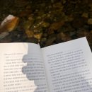 솔지에로펜션 이미지