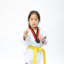 봉화태권도장 이미지