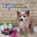 멍발머리