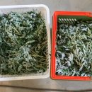 오달농원 이미지