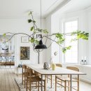 식물 인테리어 이미지