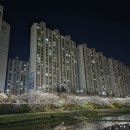 시흥빗물펌프장 | 서울 인근 벚꽃 명소 추천(with 안양천)